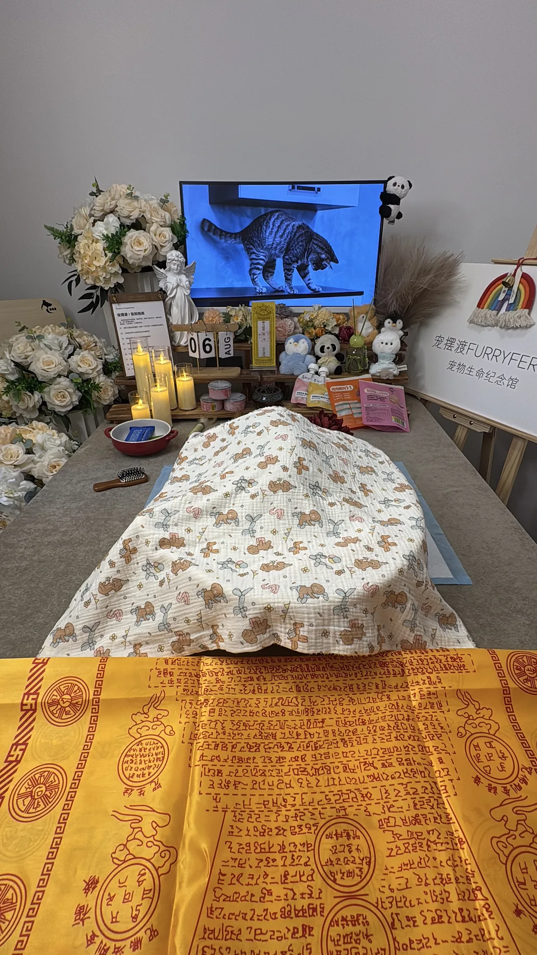 杭州宠物告别仪式中的鲜花与纪念照片